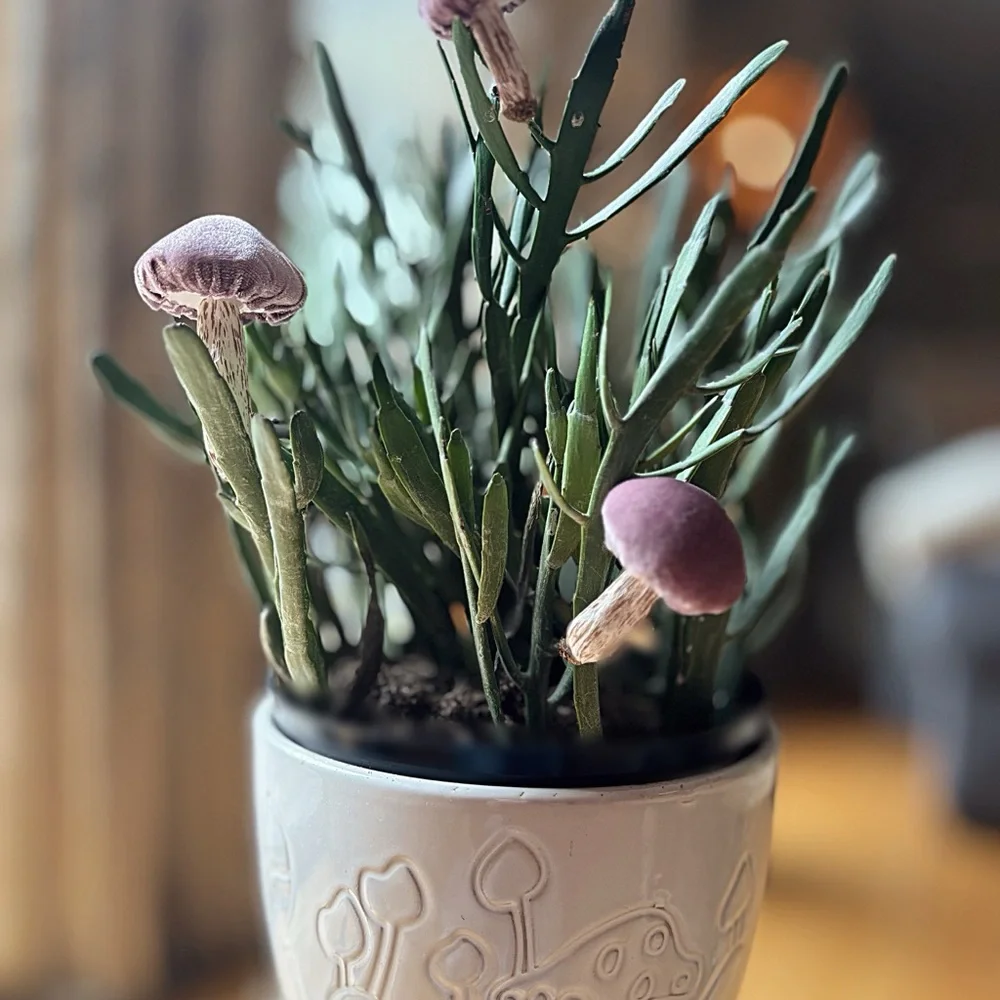 Mushrooms Plant Accessories